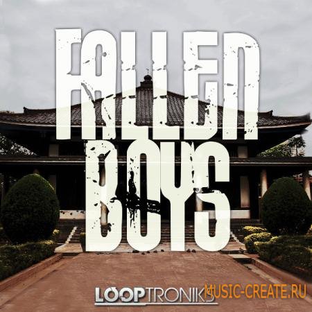 Looptroniks - Fallen Boys (WAV MIDI) - сэмплы Hard Rock