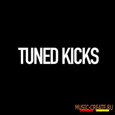 GR8 Audio Samples - Tuned Kicks (WAV) - сэмплы бас-барабанов