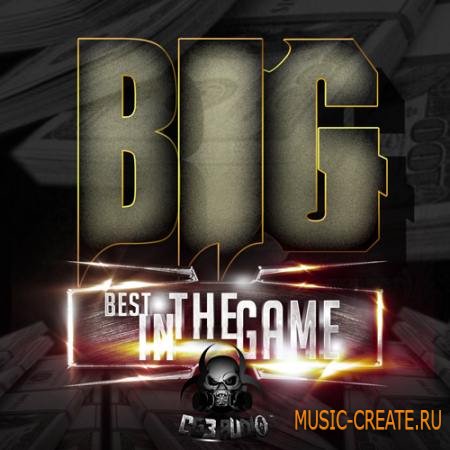 CG3 Audio - BIG (WAV) - сэмплы Dirty South, Hip Hop