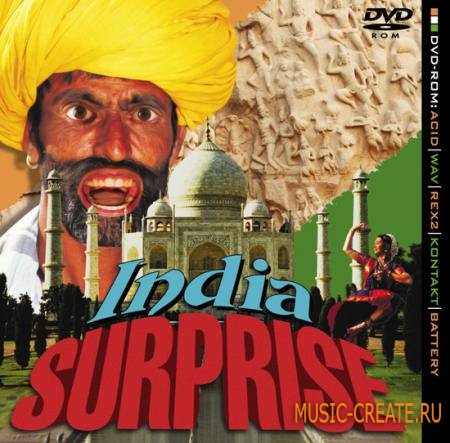 Discovery Sound - India Surprise (MULTiFORMAT) - сэмплы индийских инструментов