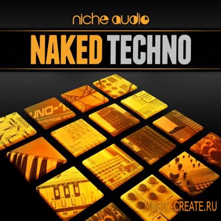 Niche Audio - Naked Techno (MULTiFORMAT) - сэмплы Techno