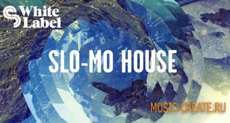 SM White Label - Slo-Mo House (MULTiFORMAT) - сэмплы House