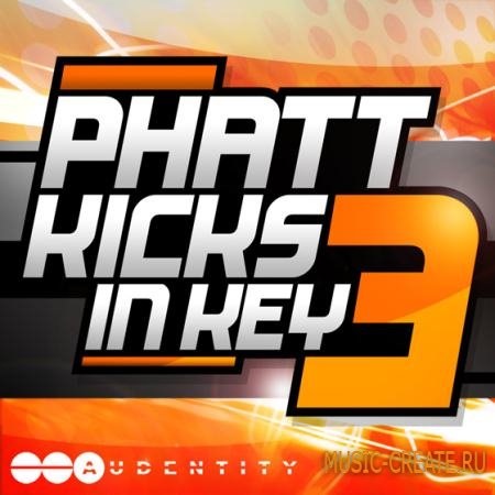 Audentity - Phatt Kicks In Key 3 (WAV) - сэмплы бас-барабанов