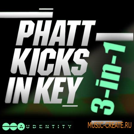 Audentity - Phatt Kicks In Key Bubdle 3-in-1 (WAV) - сэмплы бас-барабанов