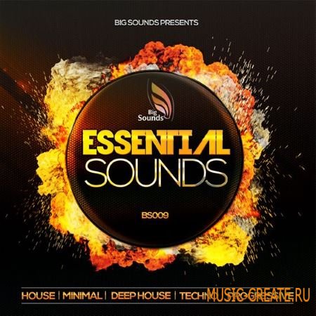 Big Sounds - Essential Sounds (WAV MiDi) - сэмплы House, Deep House, Minimal, Techno, Progressive