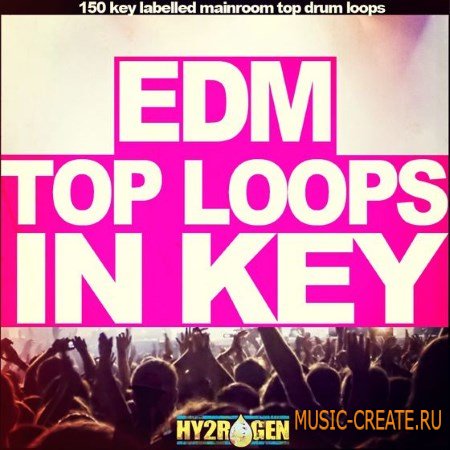 Hy2rogen - EDM Top Loops In Key (WAV) - сэмплы EDM