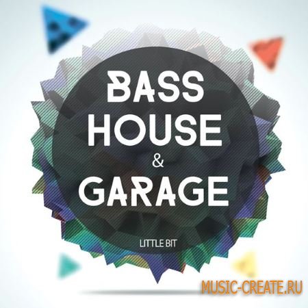 Little Bit - Bass House and Garage (WAV) - сэмплы Bass House, Garage