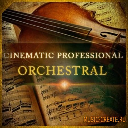 Sunwell Sound Records - Cinematic Professional Orchestral Vol.1 (WAV) - сэмплы оркестровых инструментов