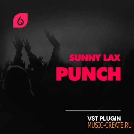 FSS - Sunny Lax Punch VST Plugin - плагин Punch