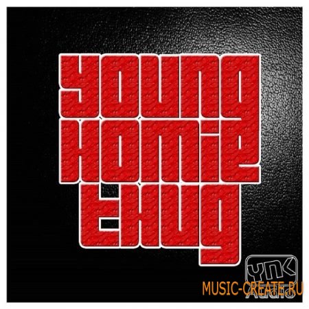 YnK Audio - Young Homie Thug (WAV AiFF MiDi FLP) - сэмплы Hip Hop, Dirty South