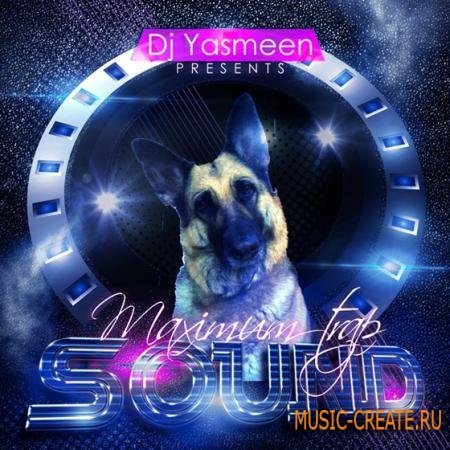 Fox Samples - DJ Yasmeen Maximum Trap Sound (WAV MiDi) - сэмплы Trap