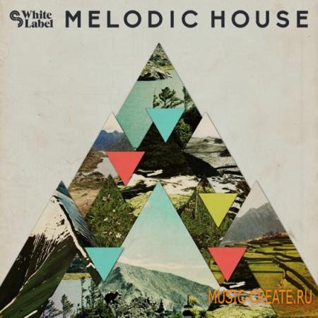 SM White Label - Melodic House (MULTiFORMAT) - сэмплы House