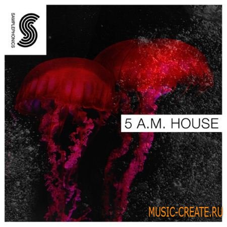 Samplephonics - Luka 5 Am House (MULTiFORMAT) - сэмплы Deep House, Electronica