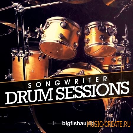 Big Fish Audio - Songwriter Drum Sessions (MULTiFORMAT / KONTAKT) - сэмплы ударных