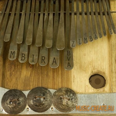 Precisionsound - Mbira bva Zimbabwe (MULTiFORMAT) - сэмплы мбиры