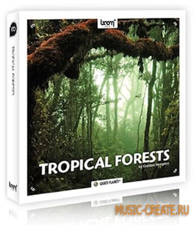 Boom Library - Tropical Forests (WAV) - звуковые эффекты природы