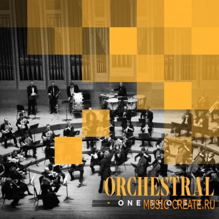 Diginoiz - Orchestral One Shots 2 (WAV AiFF) - оркестровые сэмплы