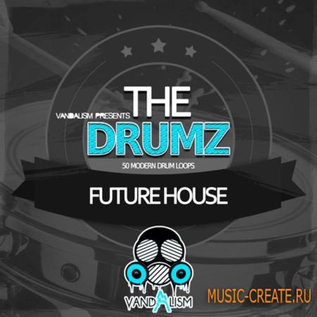 Vandalism - The Drumz: Future House (WAV) - сэмплы ударных
