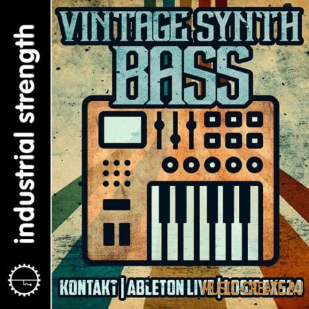 Industrial Strength - Vintage Synth Bass (MULTiFORMAT) - сэмплы синтезаторов
