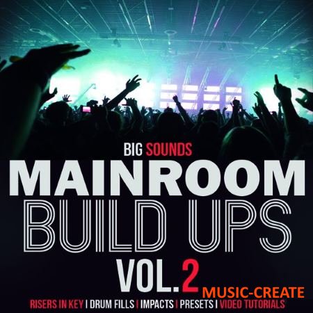 Big Sounds Mainroom Build Ups 2 (WAV Ni Massive TUTORiAL) - звуковые эффекты