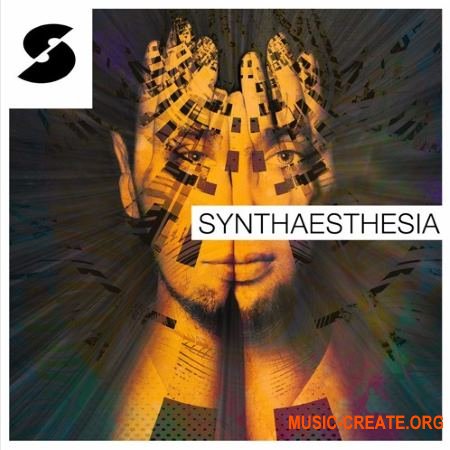 Samplephonics - Synthaesthesia (MULTiFORMAT) - сэмплы Hip-Hop, Trap, RnB, Future Beats
