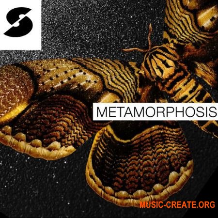 Samplephonics - Metamorphosis (MULTiFORMAT) - сэмплы DnB