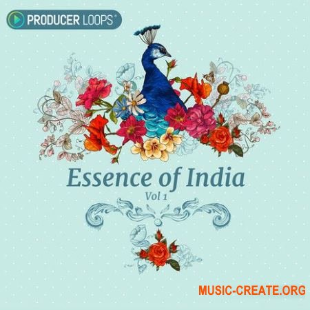 Producer Loops - Essence of India Vol.1 (ACiD WAV) - звуки индийской музыки