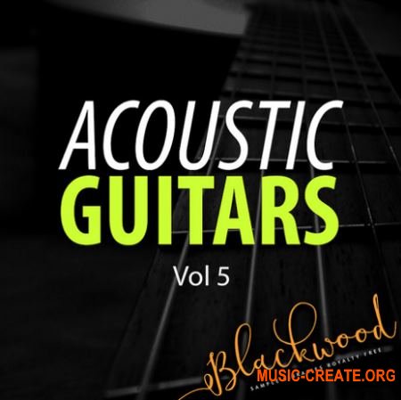 Blackwood Samples - Acoustic Guitars 5 (WAV) - сэмплы акустической гитары