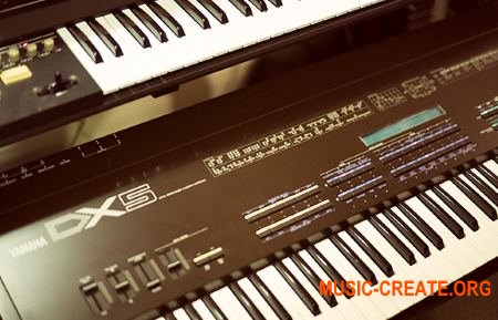 Rhythmic Robot Audio - DX Keys Deluxe (KONTAKT) - библиотека звуков Yamaha DX5