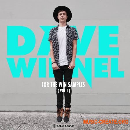 Splice Sound Dave Winnel For The Win Samples Vol.1 (WAV) - сэмплы EDM, Big Room, Progressive House, Electro
