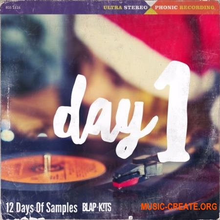 !llmind Blap Kits 12 Days Of Samples - DAY 1 (WAV)