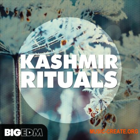 Big EDM Kashmir Rituals (WAV Sylenth1 presets) - сэмплы Dance, EDM