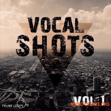Prune Loops Vocals Shots Vol 1 (WAV MiDi) - вокальные сэмплы