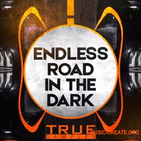 True Samples Endless Road In The Dark (WAV MiDi SPiRE) - сэмплы Techno