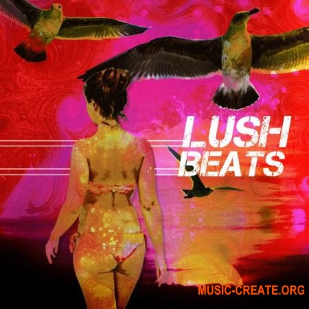 KARZ Lush Beats (WAV) - сэмплы Downtempo, Chill, Dub, Hip Hop, кинематографические