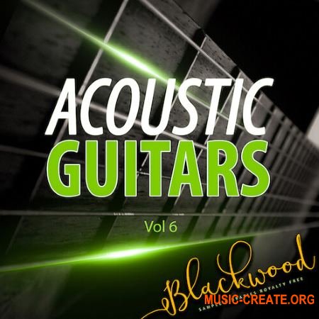 Blackwood Samples Acoustic Guitars Vol 6 (WAV) - сэмплы гитары