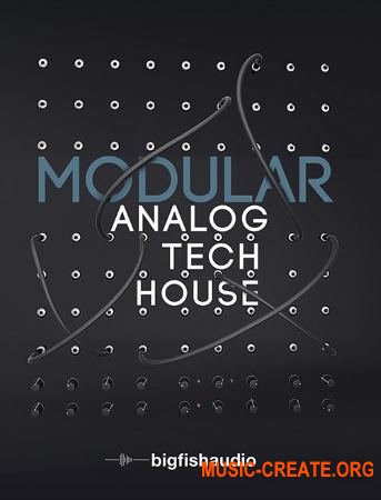 Big Fish Audio Modular Analog Tech House (MULTiFORMAT) - сэмплы Tech House