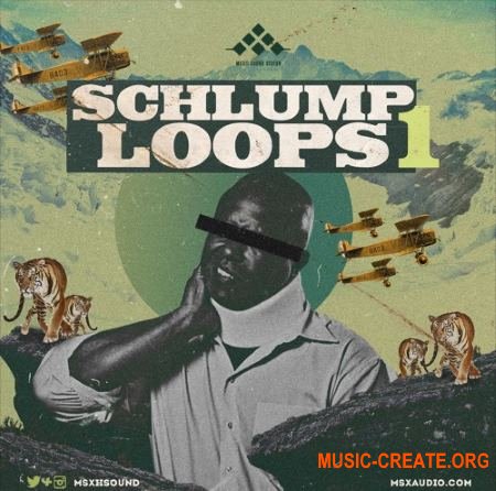 MSXII Sound Design Schlump Loops 1 (WAV) - сэмплы ударных