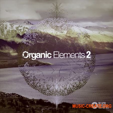 Black Octopus Sound Organic Elements 2 (WAV) - сэмплы Deep House, Techno, Progressive, Tech House, Minimal