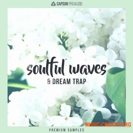 CAPSUN ProAudio Soulful Waves and Dream Trap (WAV) - сэмплы Hip Hop, Future Beats, Melodic Trap