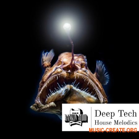 Rankin Audio Deep Tech House Melodics (WAV MiDi) - сэмплы Deep House, Tech House