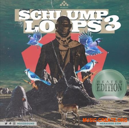 MSXII Sound Schlump Loops 3 (WAV) - сэмплы Hip Hop, Rap