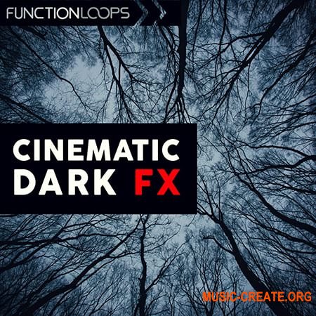 Function Loops Cinematic Dark FX (WAV) - сэмплы звуковых эффектов, кинематографические