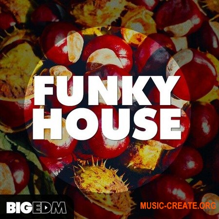Big EDM Funky House