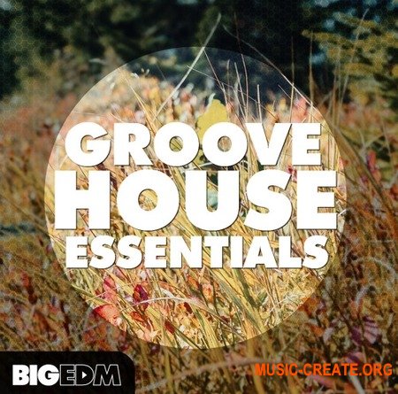Big EDM Groove House Essentials (WAV MiDi SYLENTH1 SPiRE) - сэмплы Groove House, House, EDM
