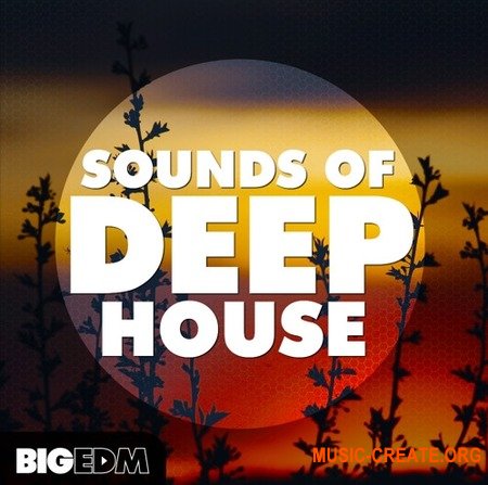 Big EDM Sounds Of Deep House (WAV MiDi SYLENTH1 SPiRE) - сэмплы Deep House, House