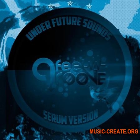 Under Future Sounds Feel Groove (Serum Presets FXP)