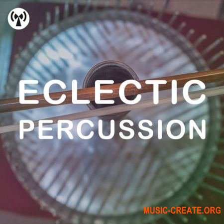 Noiiz Eclectic Percussion (WAV) - сэмплы перкуссии
