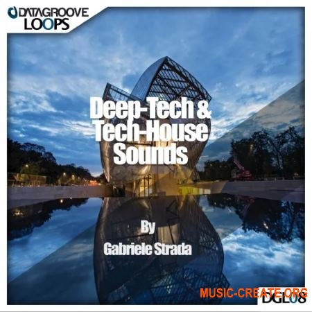 Datagroove Loops Deep-Tech and Tech House Sounds by Gabriele Strada (WAV AiFF) - Minimal, House, Tech-House, Techno
