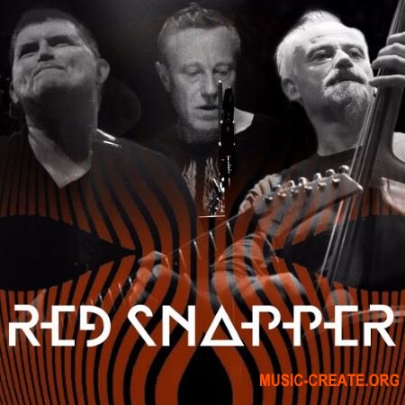 Loopmasters Red Snapper Live Soundscapes (WAV REX) - сэмплы Electronic